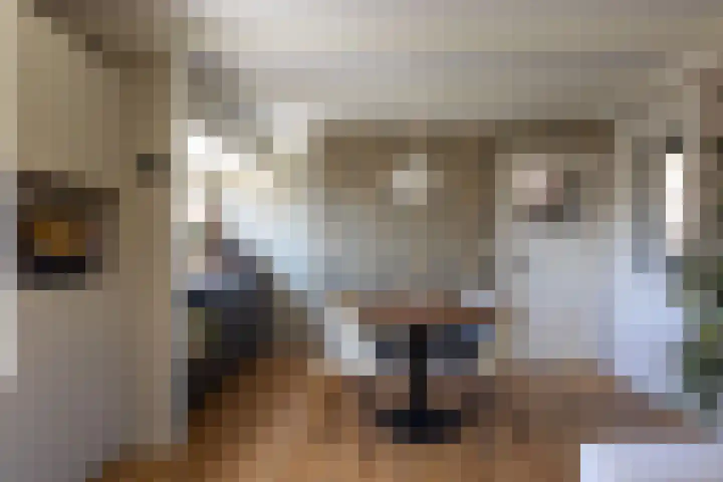 Lekdijk 360 Nieuw-Lekkerland thumbnail 9