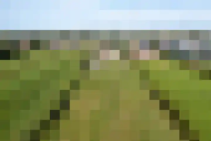 Lekdijk 37 a Langerak thumbnail 4