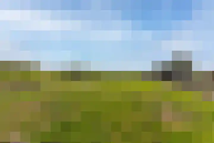 Lekdijk 37 a Langerak thumbnail 44