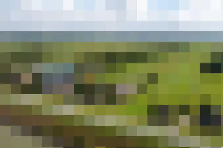 Lekdijk 37 a Langerak thumbnail 48