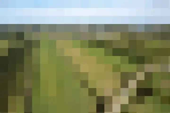 Lekdijk 37 a Langerak thumbnail 5