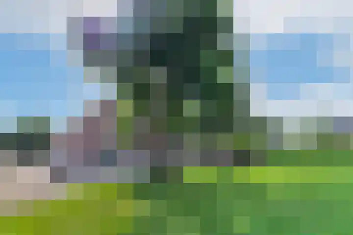 Lekdijk 37 a Langerak thumbnail 6