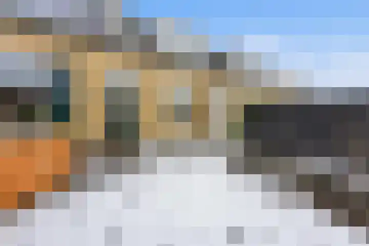 Lekdijk 377 Nieuw-Lekkerland thumbnail 35