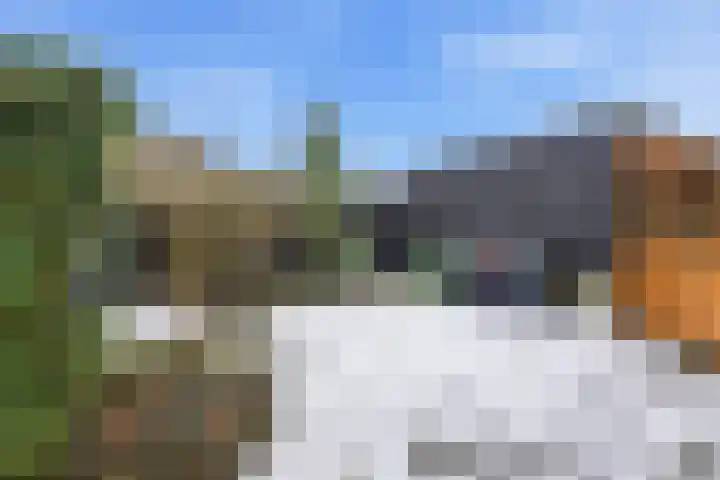 Lekdijk 377 Nieuw-Lekkerland thumbnail 37