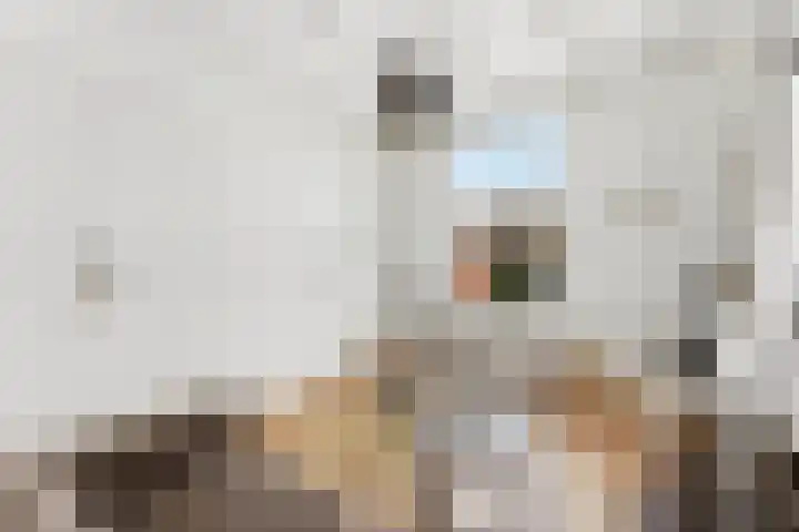 Lekdijk 377 Nieuw-Lekkerland thumbnail 4