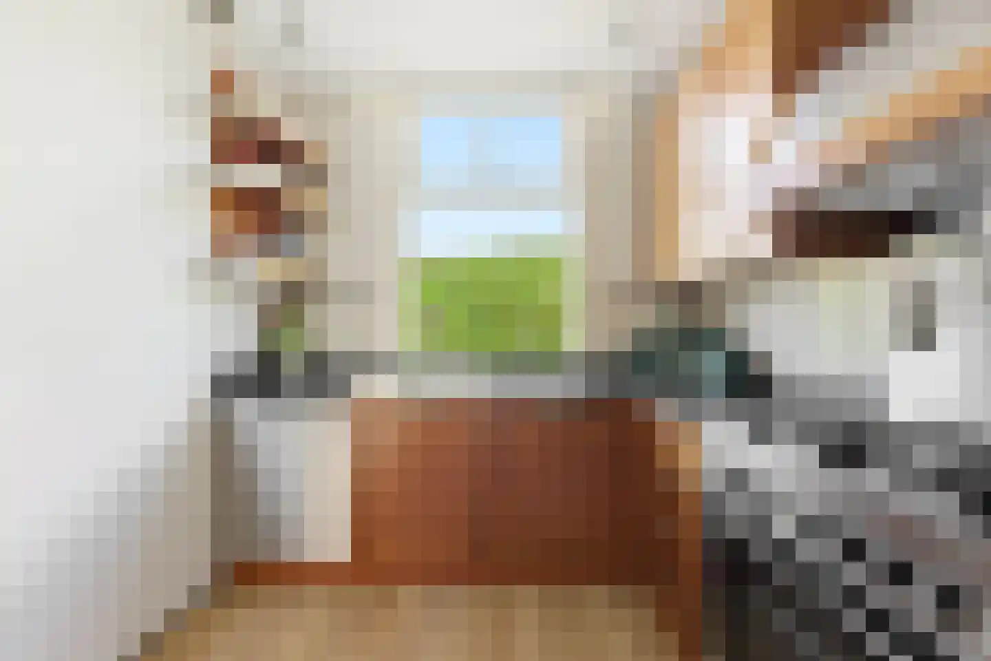 Lekdijk 386 Nieuw-Lekkerland thumbnail 17