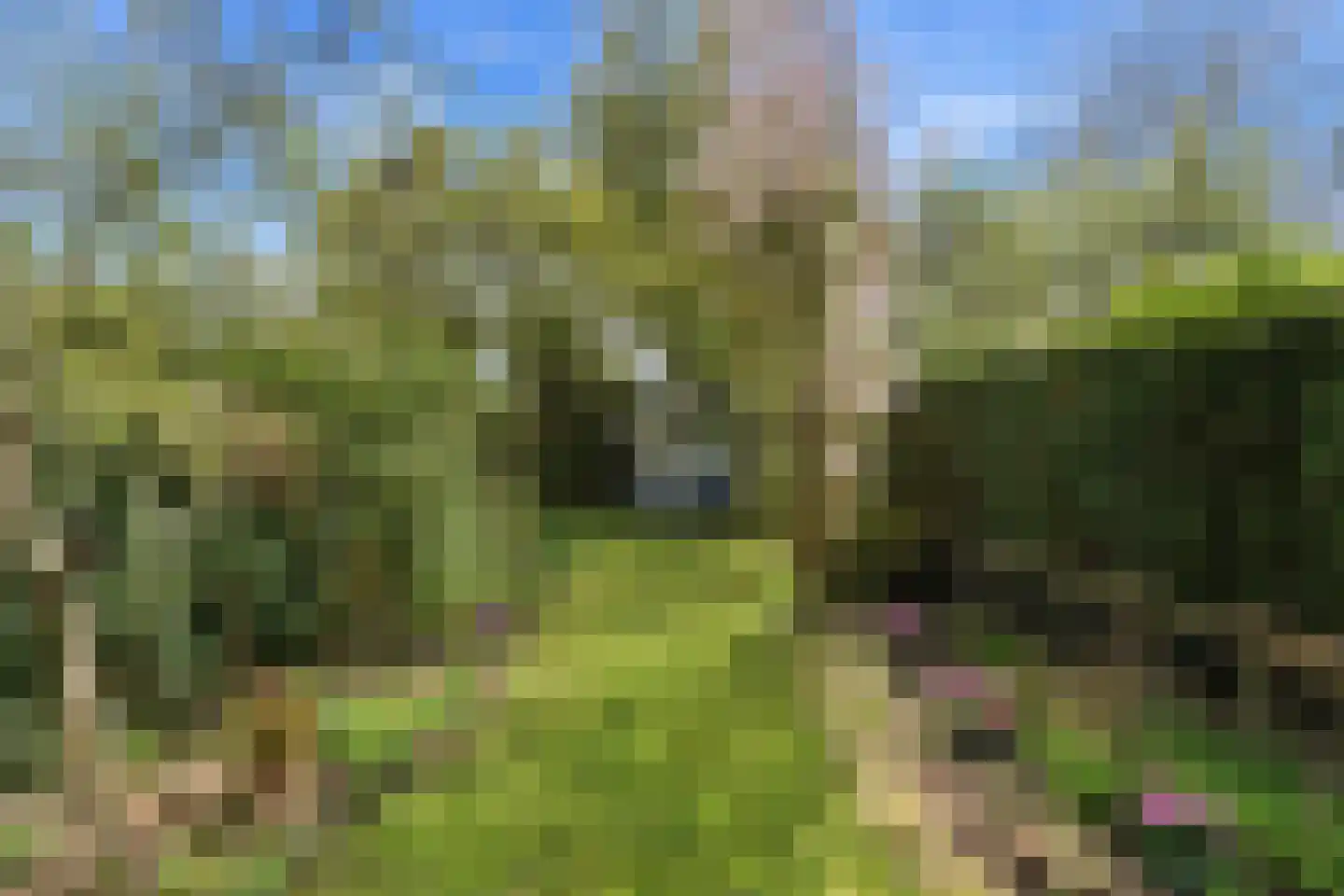 Lekdijk 386 Nieuw-Lekkerland thumbnail 4