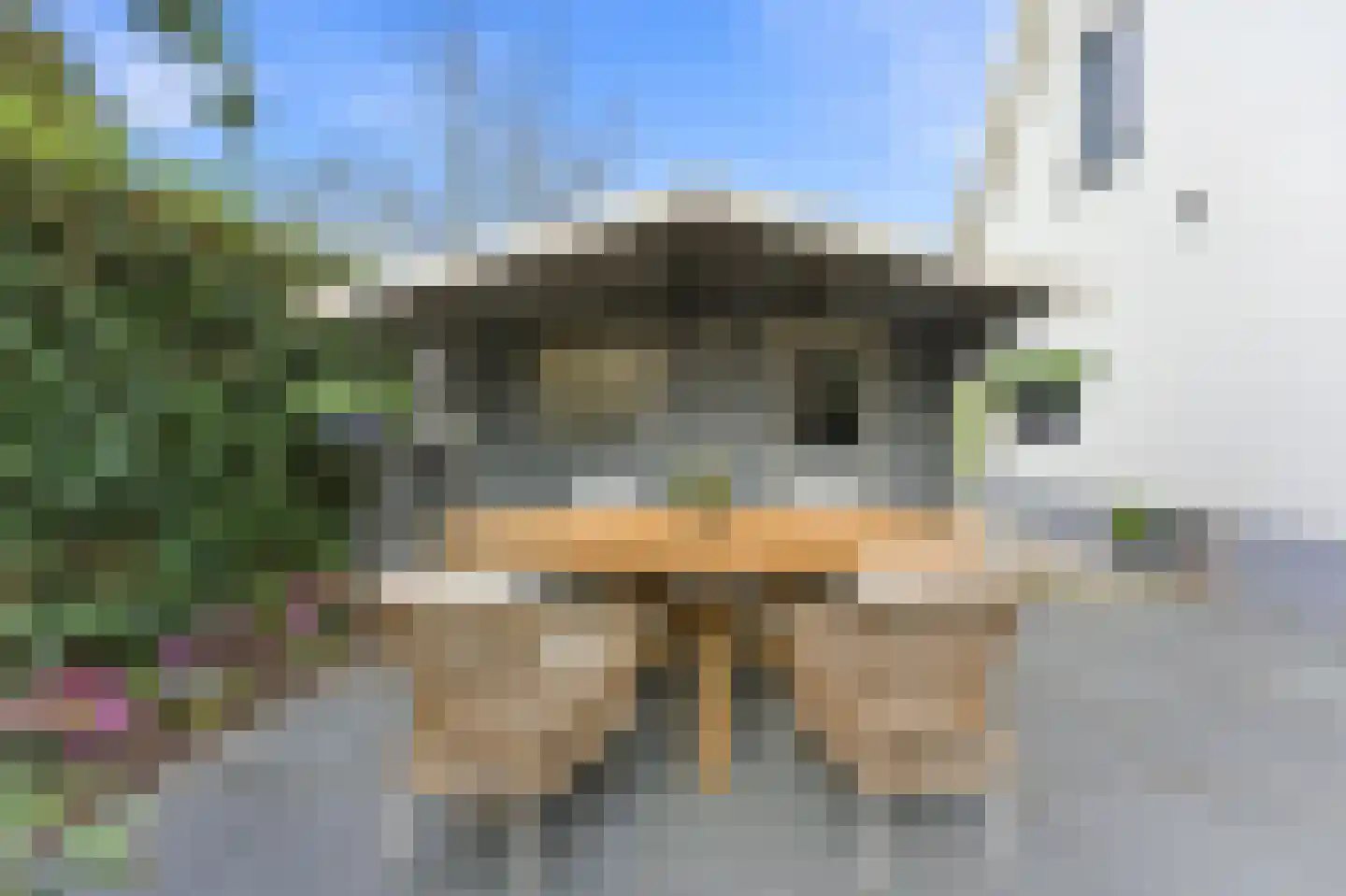 Lekdijk 386 Nieuw-Lekkerland thumbnail 40