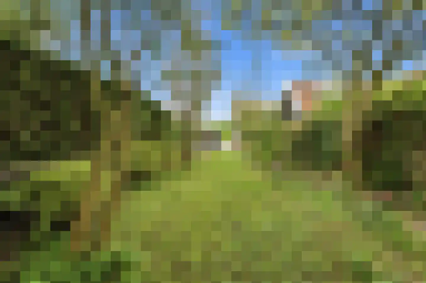 Lekdijk 386 Nieuw-Lekkerland thumbnail 47