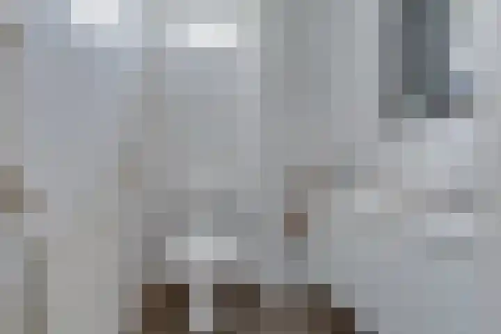 Lekdijk 44 Hagestein thumbnail 30