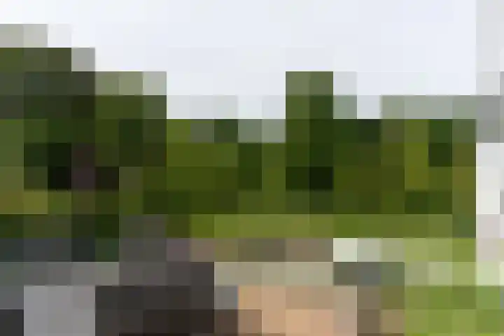 Lekdijk 44 Hagestein thumbnail 33