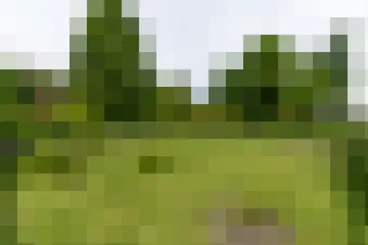 Lekdijk 44 Hagestein thumbnail 37