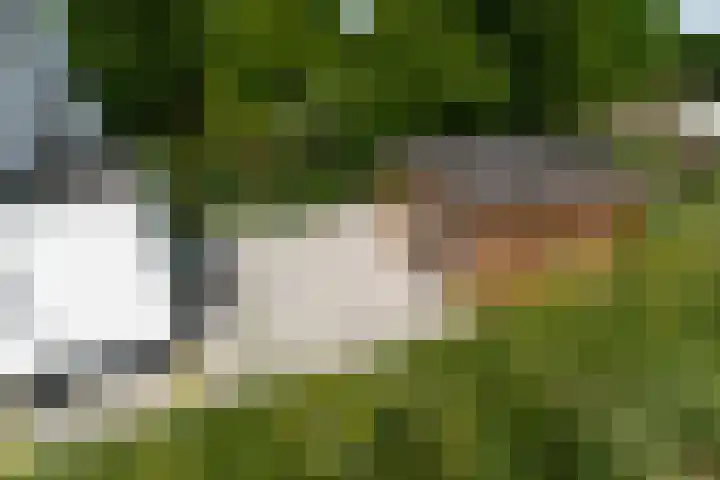 Lekdijk 44 Hagestein thumbnail 39