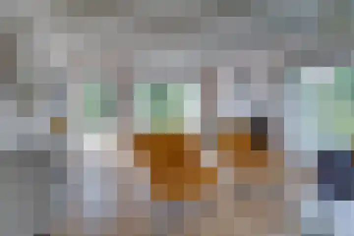 Lekdijk 44 Hagestein thumbnail 4