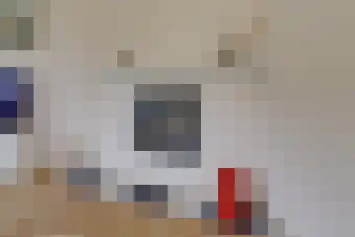 Lekdijk 44 Hagestein thumbnail 8