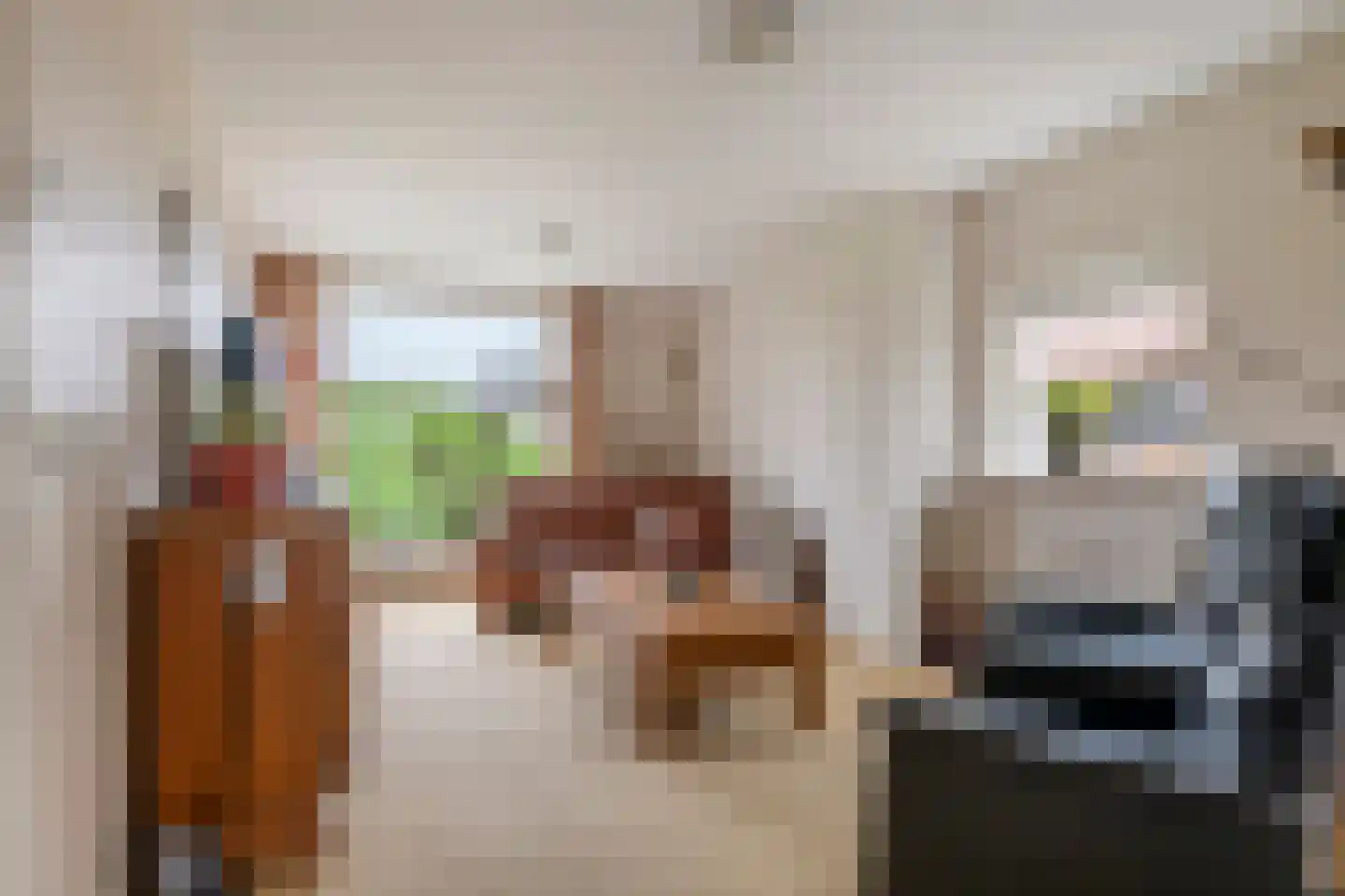Lekdijk 49 Everdingen thumbnail 17