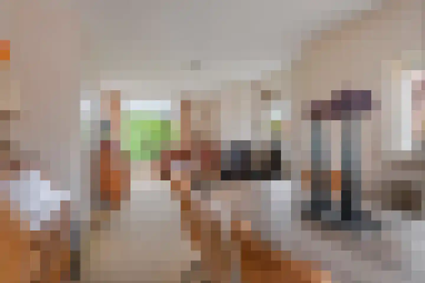 Lekdijk 49 Everdingen thumbnail 18