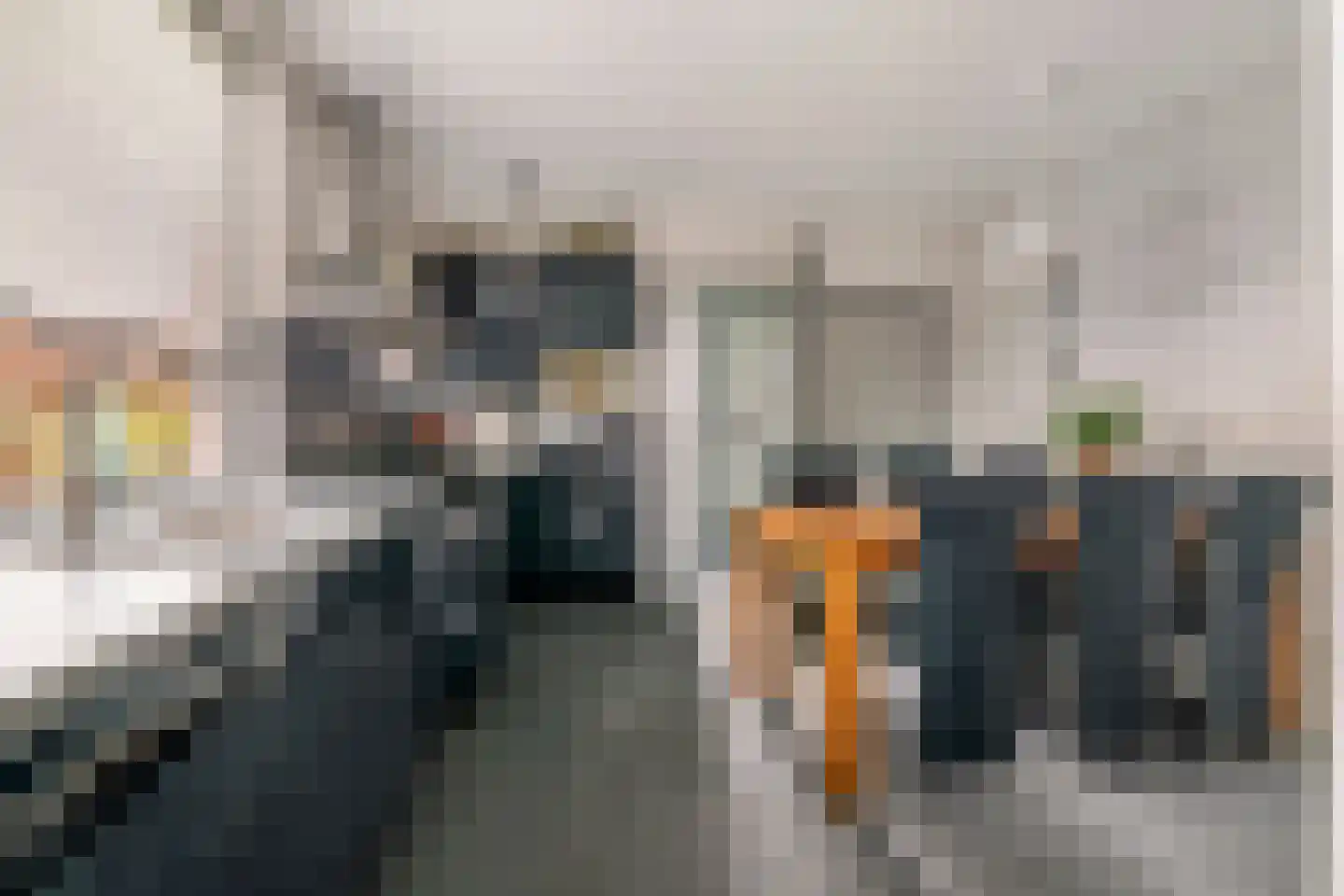Lekdijk 49 Everdingen thumbnail 20