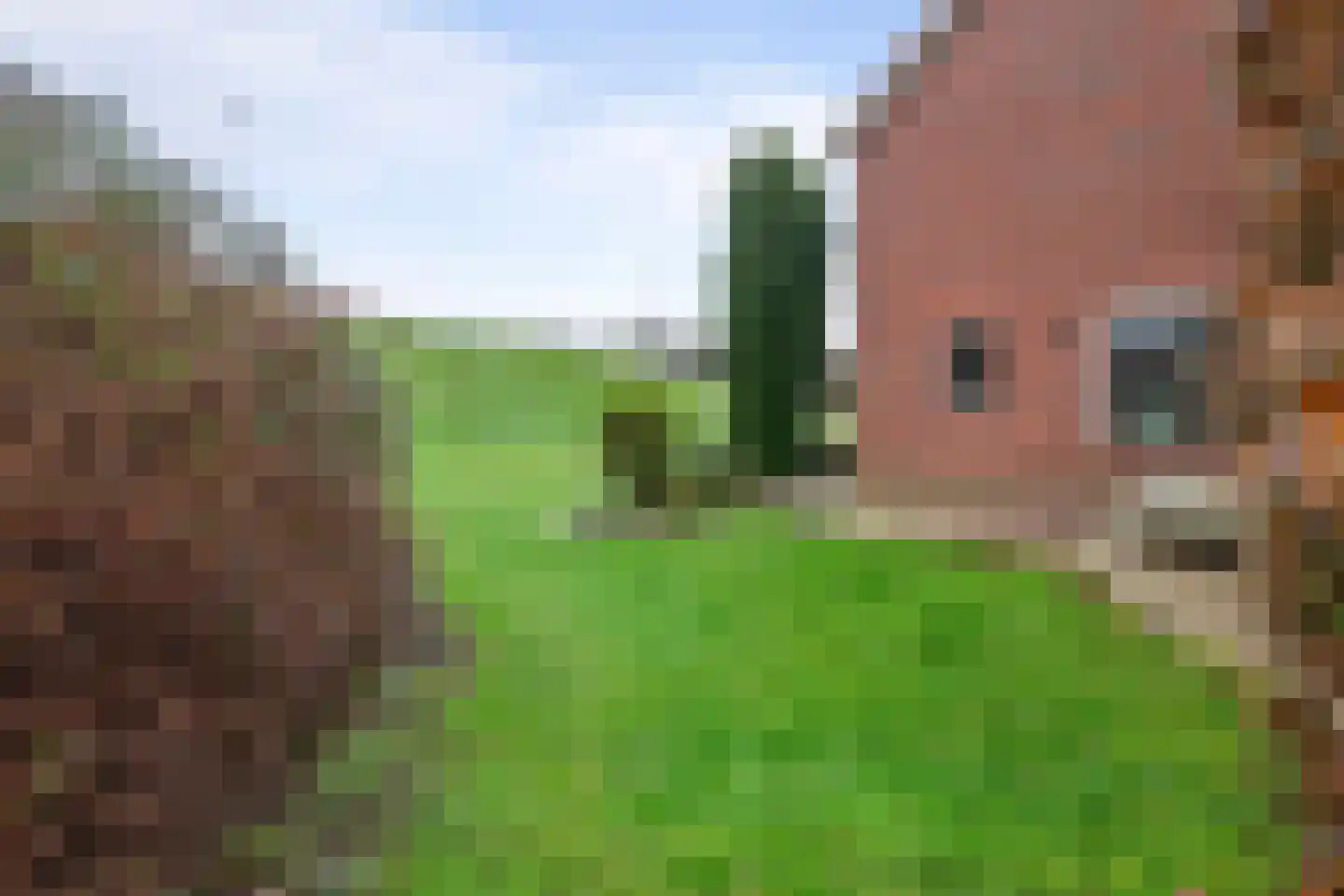 Lekdijk 49 Everdingen thumbnail 41