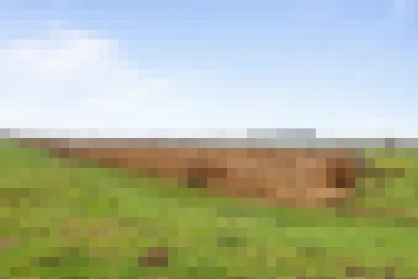 Lekdijk 49 Everdingen thumbnail 48