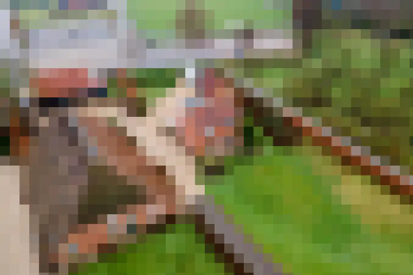 Lekdijk 49 Everdingen thumbnail 50