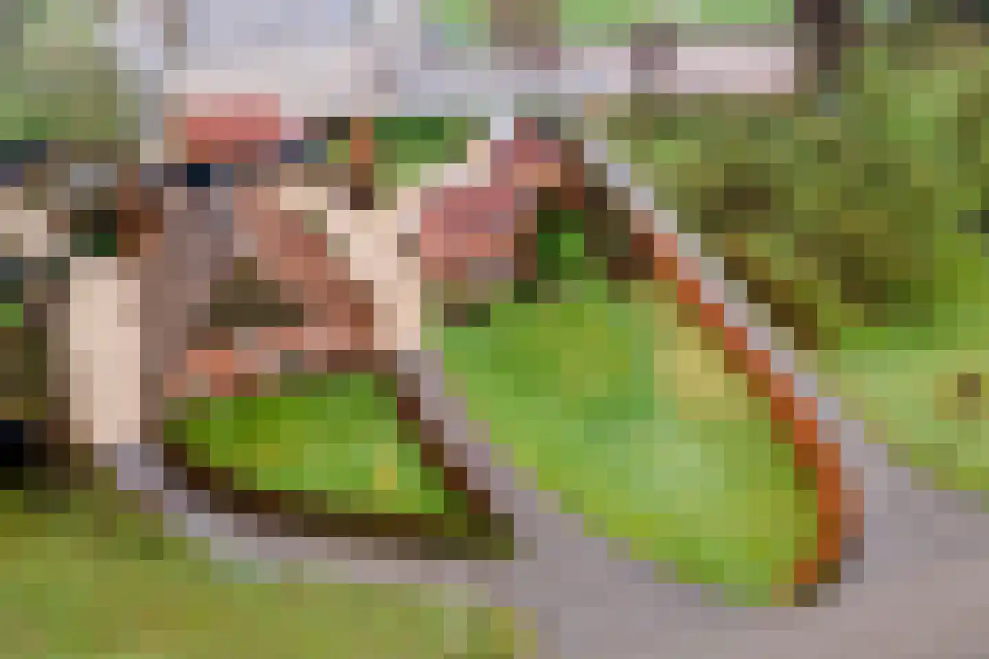Lekdijk 49 Everdingen thumbnail 51
