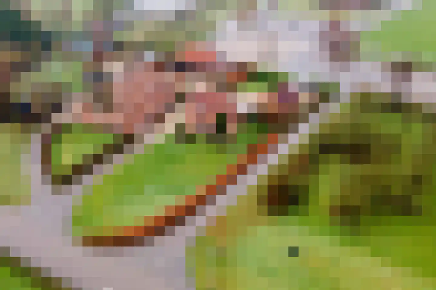 Lekdijk 49 Everdingen thumbnail 52