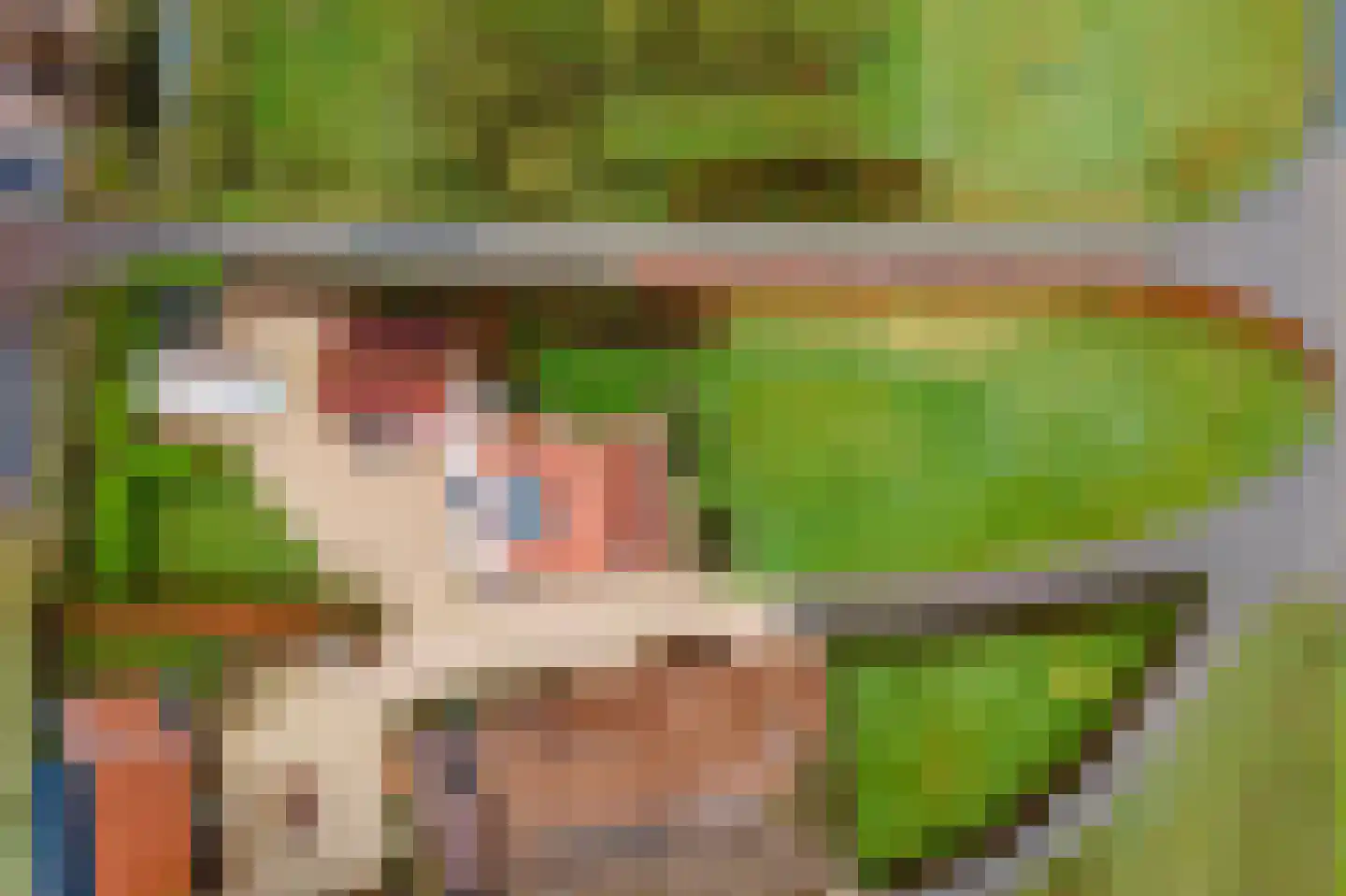 Lekdijk 49 Everdingen thumbnail 55