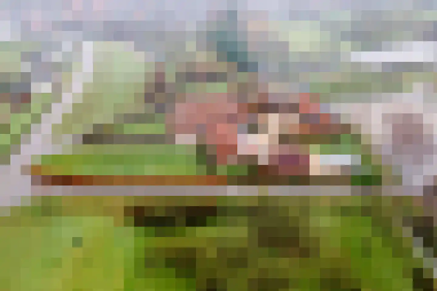 Lekdijk 49 Everdingen thumbnail 58