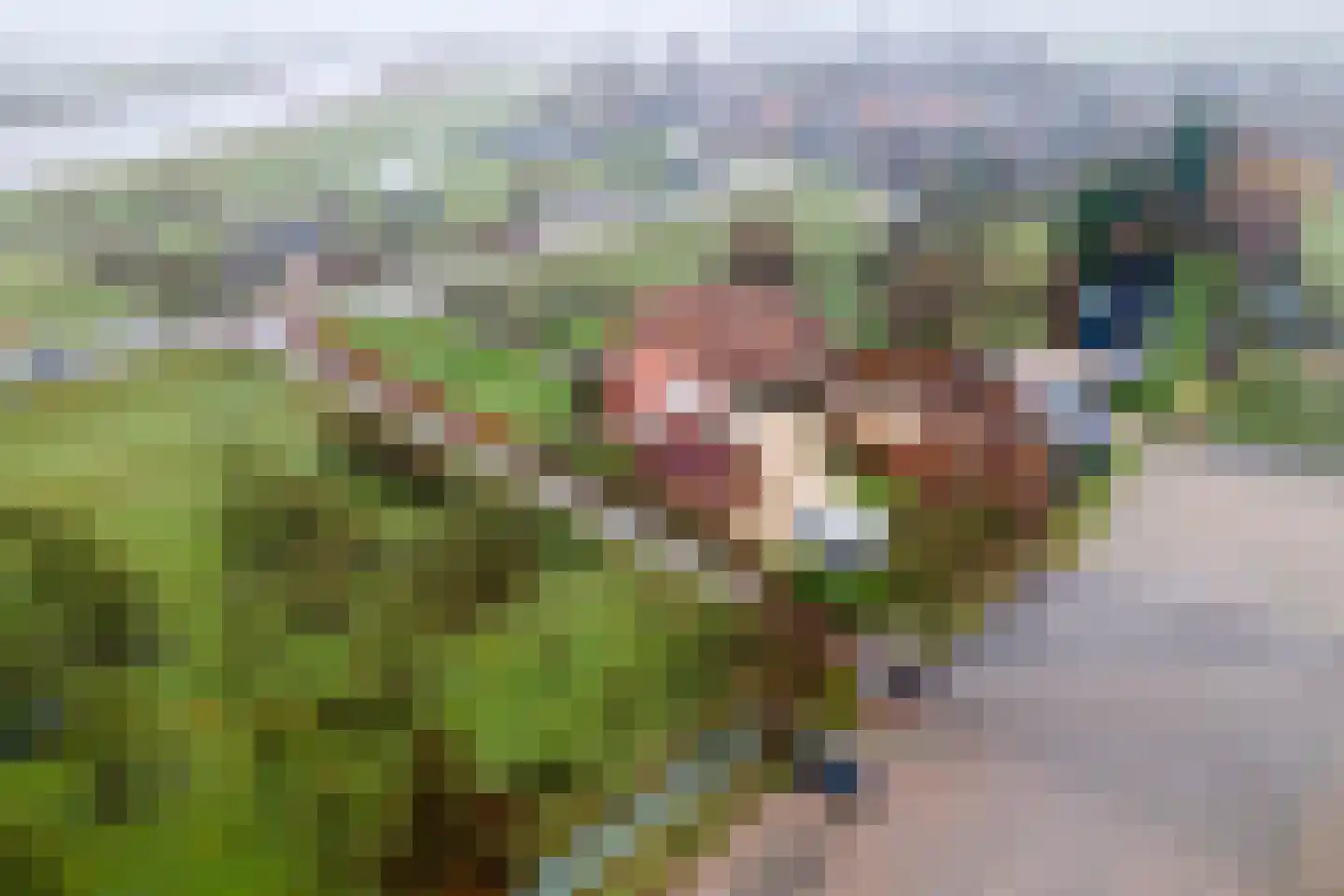 Lekdijk 49 Everdingen thumbnail 59