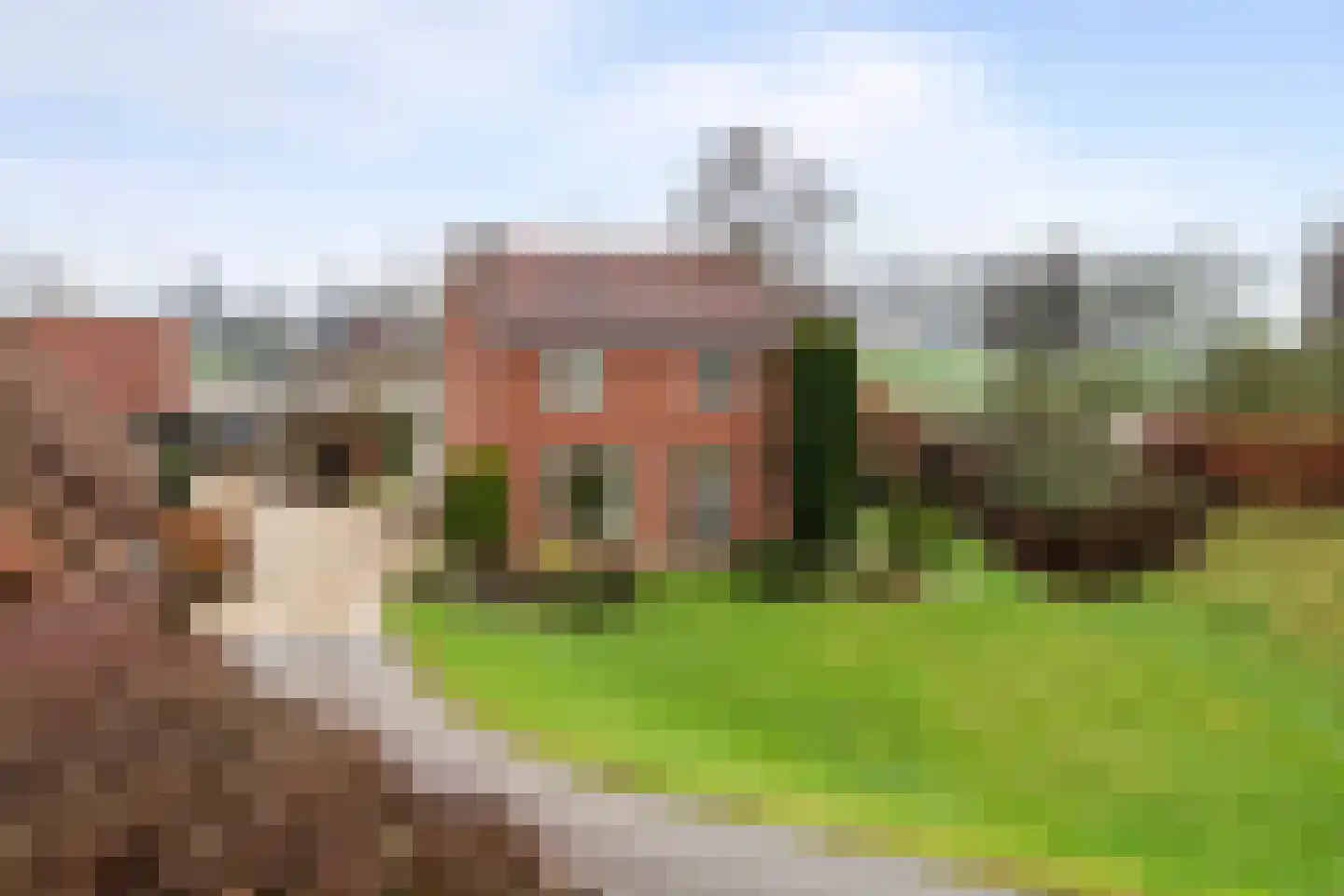 Lekdijk 49 Everdingen thumbnail 6