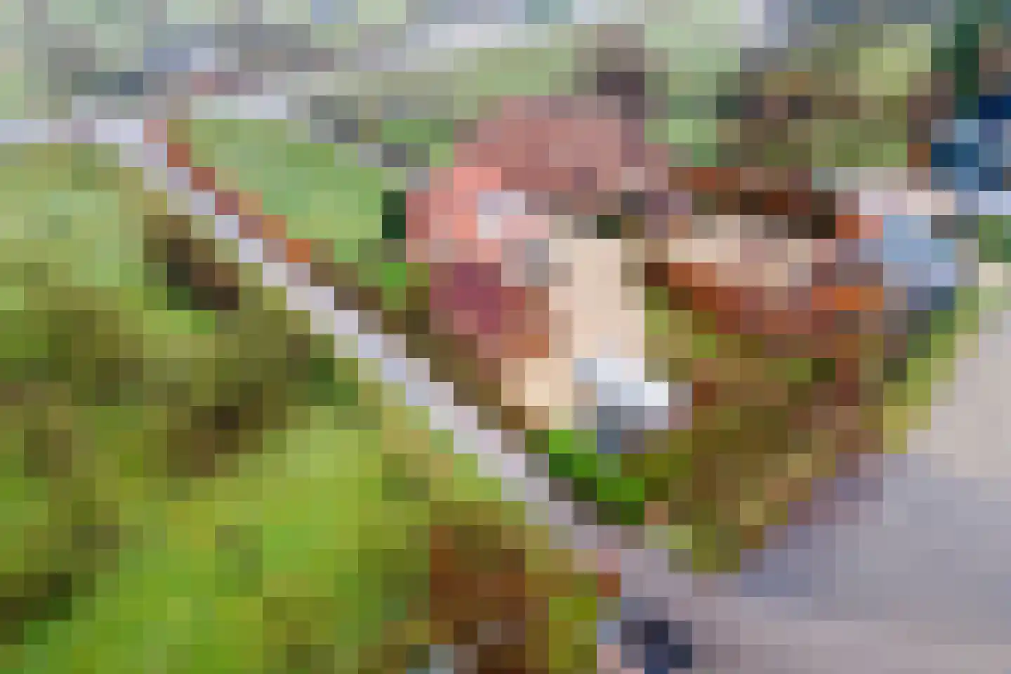 Lekdijk 49 Everdingen thumbnail 60