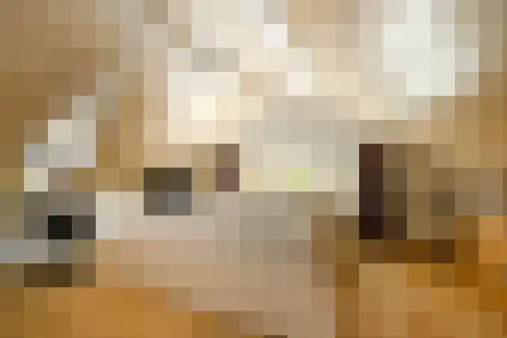 Lekdijk 53 Langerak thumbnail 34