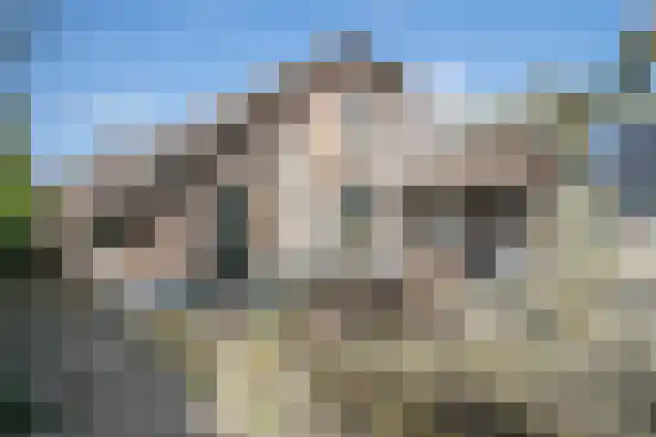 Lekdijk 53 Langerak thumbnail 38