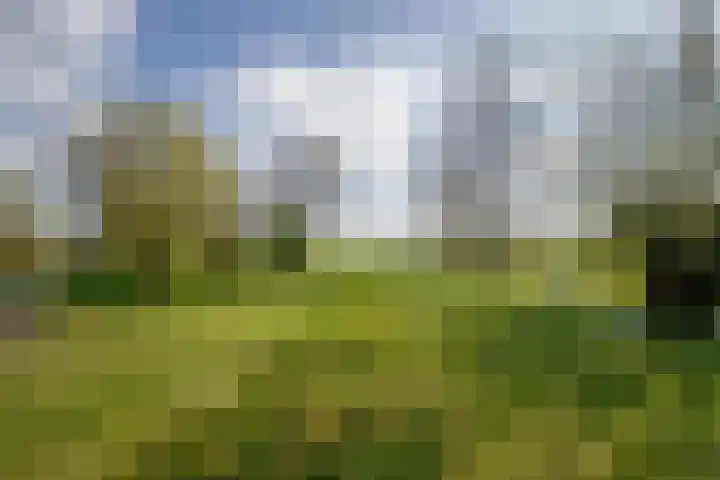 Lekdijk 53 Langerak thumbnail 4