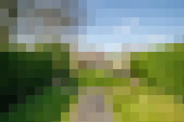 Lekdijk 53 Langerak thumbnail 40