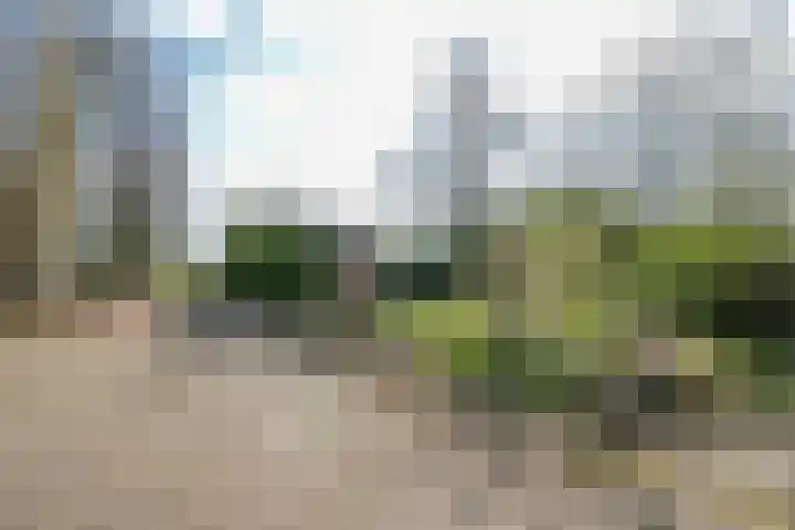 Lekdijk 53 Langerak thumbnail 44