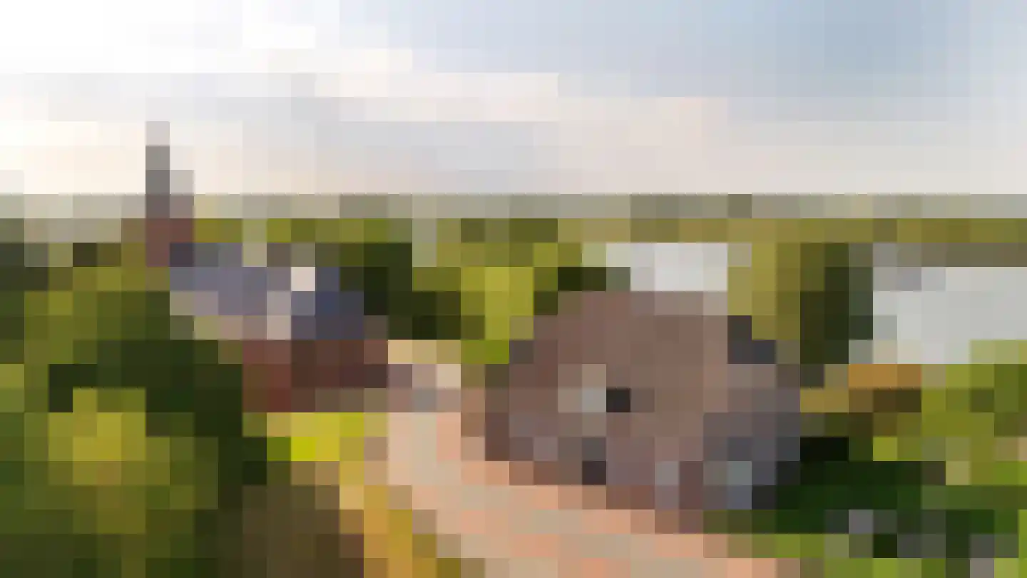 Lekdijk 75 Tienhoven aan de Lek