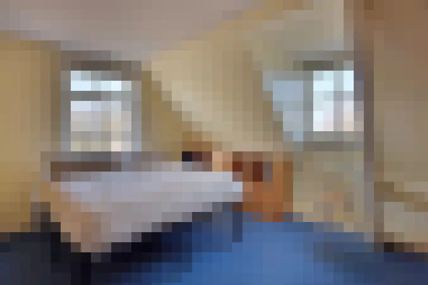 Lekdijk 75 Tienhoven aan de Lek thumbnail 16