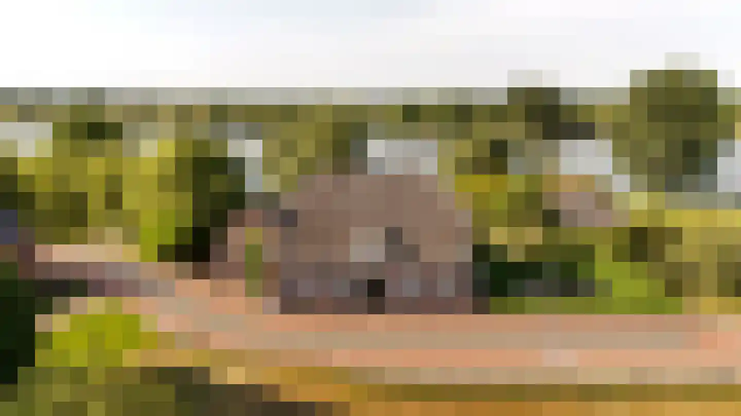 Lekdijk 75 Tienhoven aan de Lek foto 2