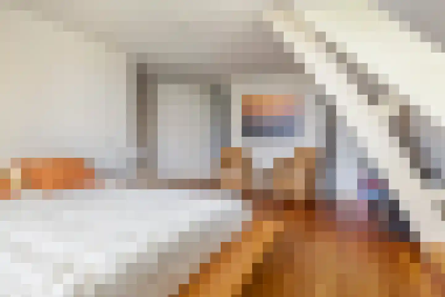 Lekdijk 75 Tienhoven aan de Lek thumbnail 23