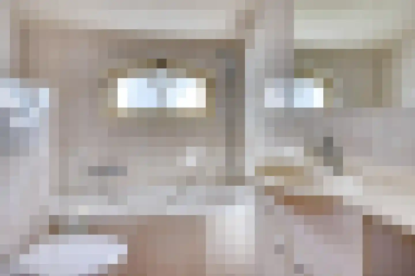 Lekdijk 75 Tienhoven aan de Lek thumbnail 24