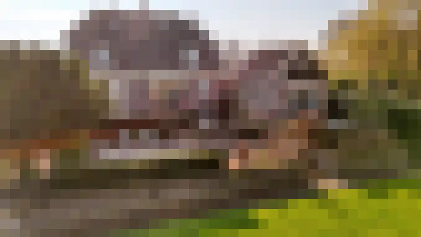 Lekdijk 75 Tienhoven aan de Lek thumbnail 25