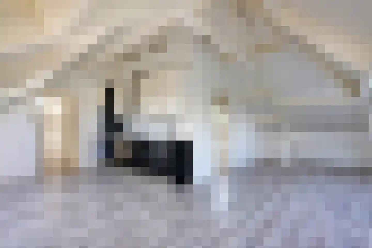 Lekdijk 75 Tienhoven aan de Lek thumbnail 28