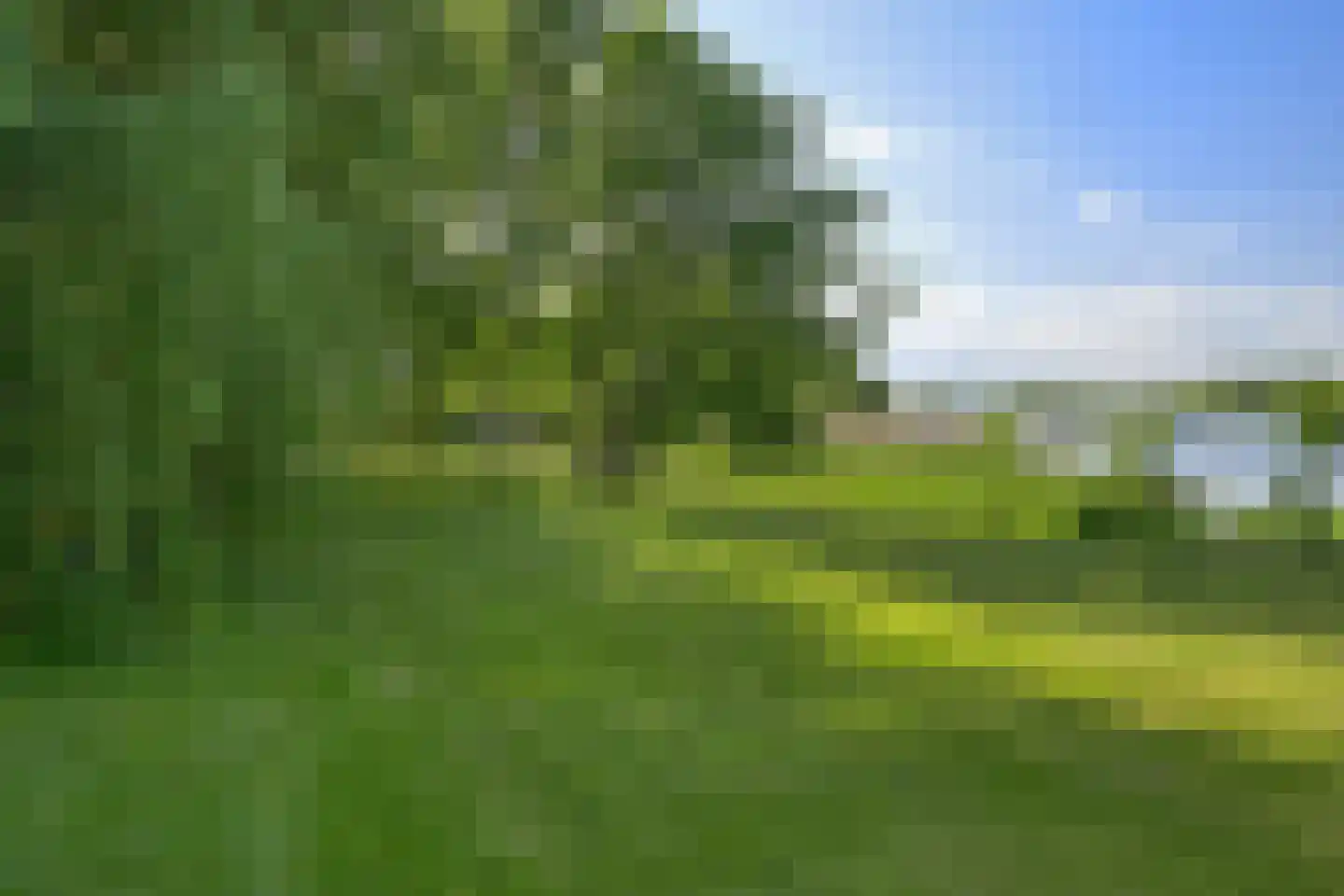 Lekdijk 75 Tienhoven aan de Lek thumbnail 31