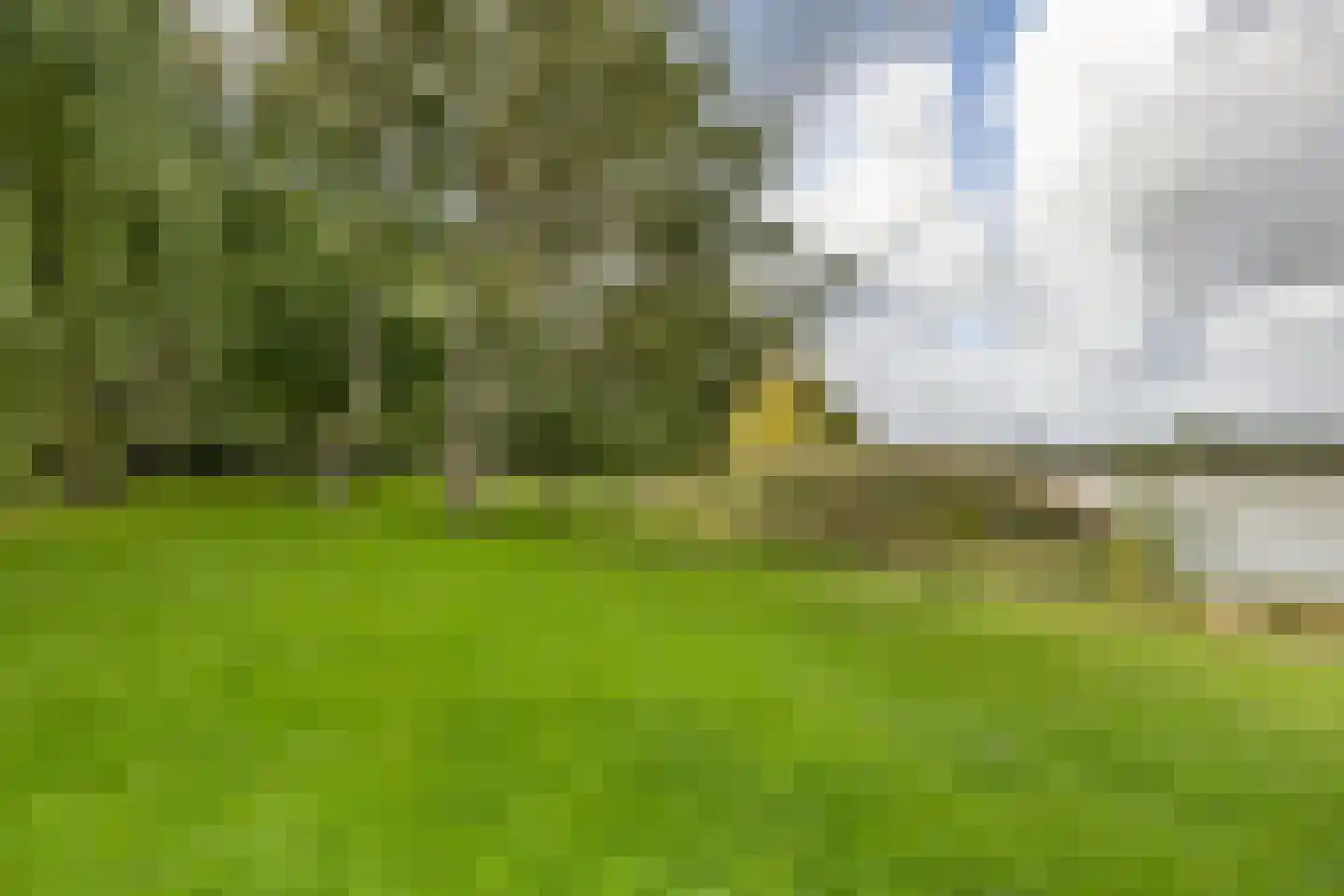 Lekdijk 75 Tienhoven aan de Lek thumbnail 32