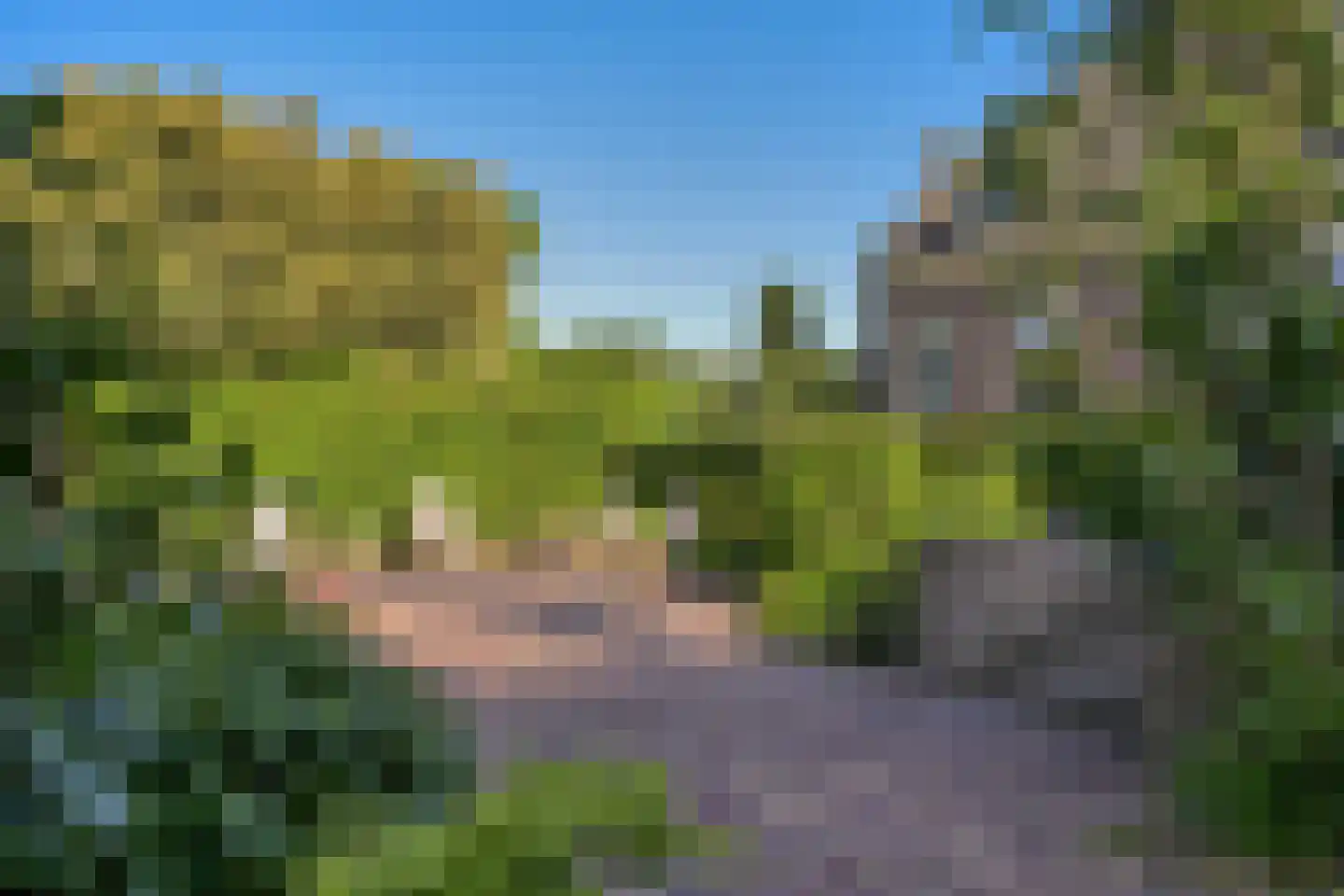 Lekdijk 75 Tienhoven aan de Lek thumbnail 33