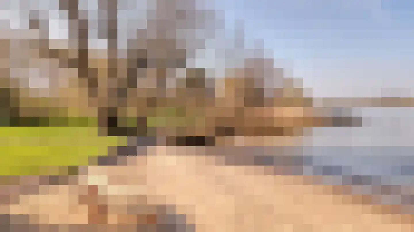 Lekdijk 75 Tienhoven aan de Lek thumbnail 36
