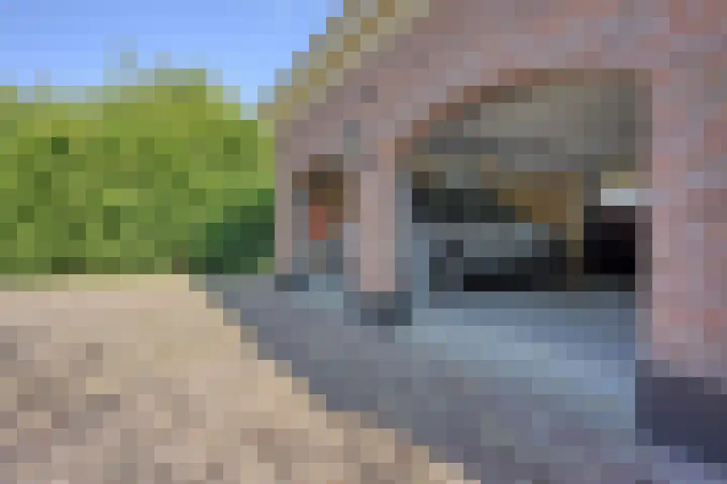 Lekdijk 75 Tienhoven aan de Lek thumbnail 37
