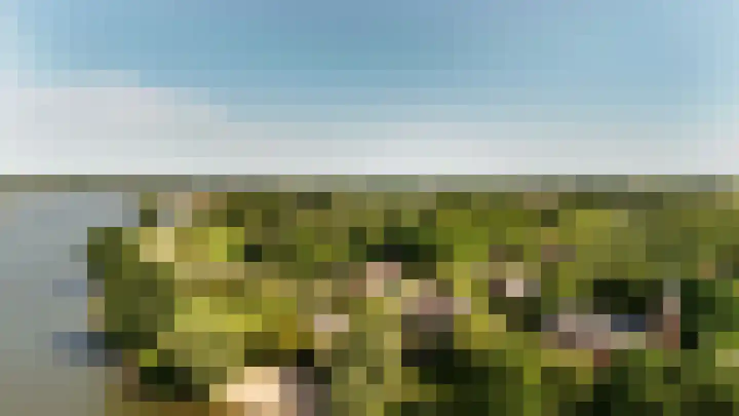 Lekdijk 75 Tienhoven aan de Lek thumbnail 38